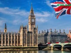 Thủ tục vận chuyển thú cưng đi Anh Quốc EVA Air an toàn